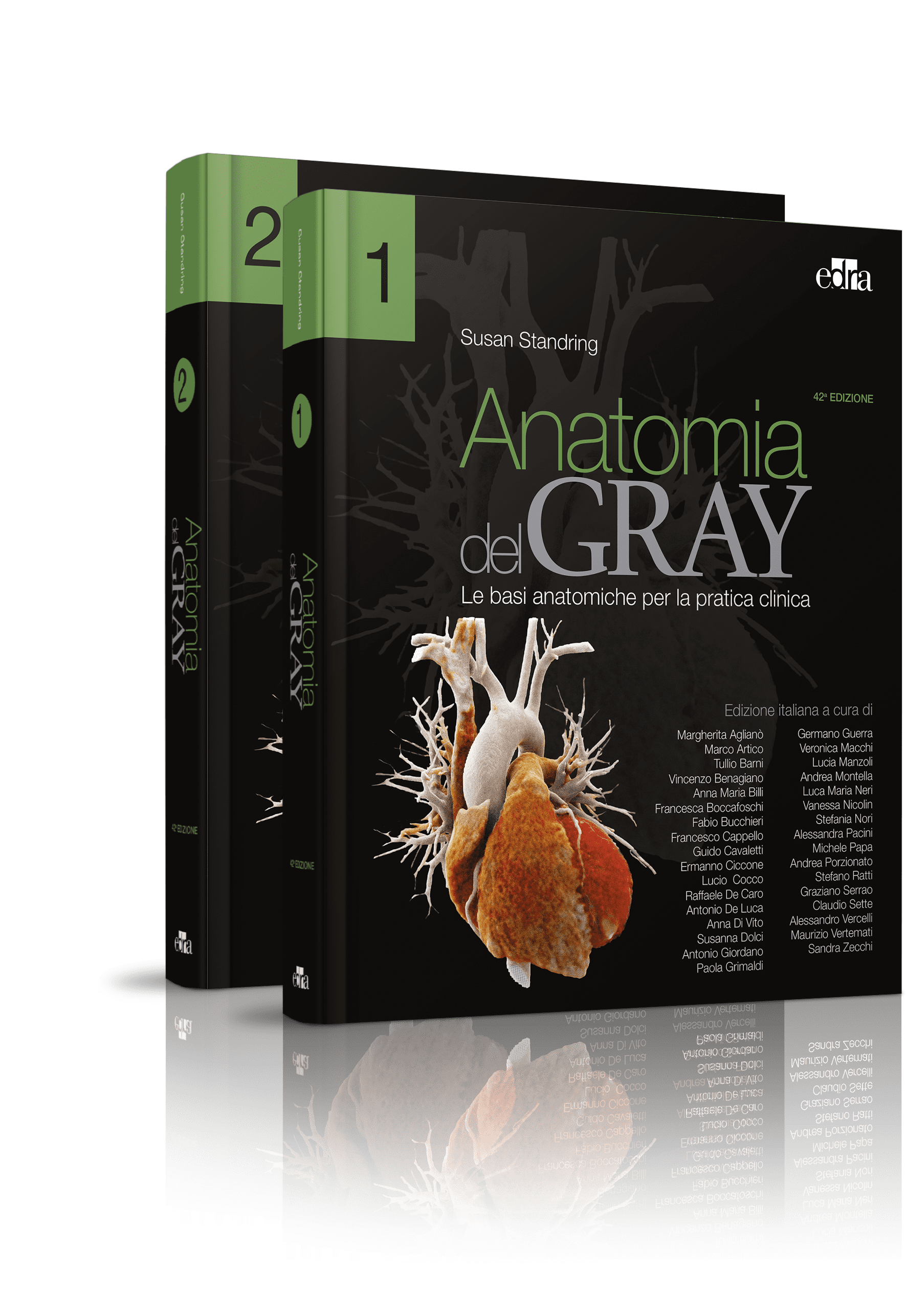 Anatomia-Gray-Edizioni-Edra